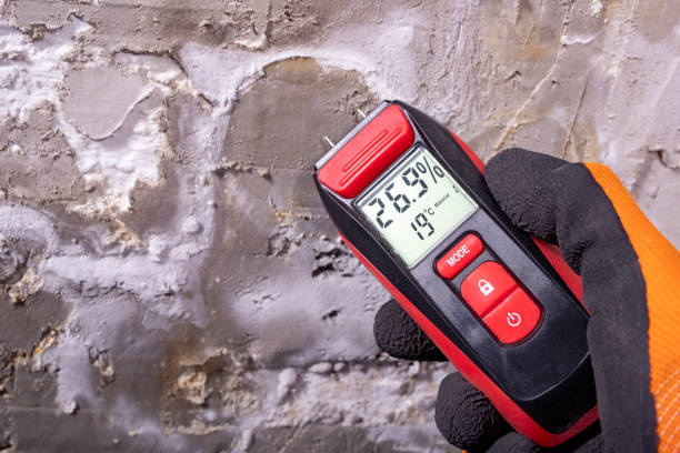 Best Commercial Mold Removal  in Winchester, OH