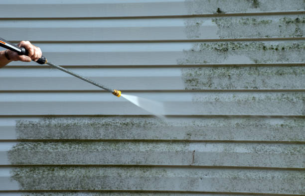 Best Fast Mold Removal  in Winchester, OH