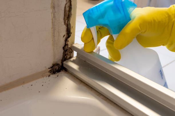 Best Mold Testing  in Winchester, OH