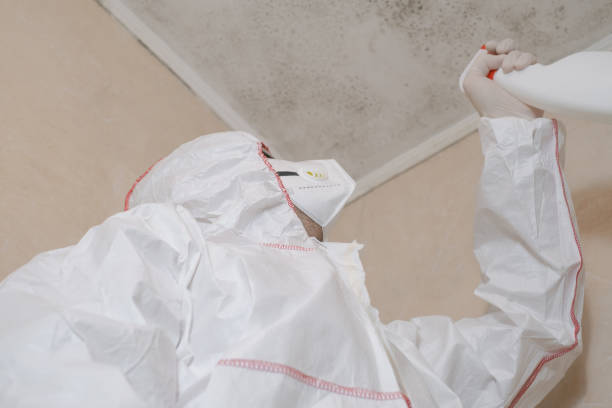 Best Toxic Mold Removal  in Winchester, OH